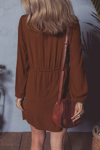 Back view of brown embroidered mini dress